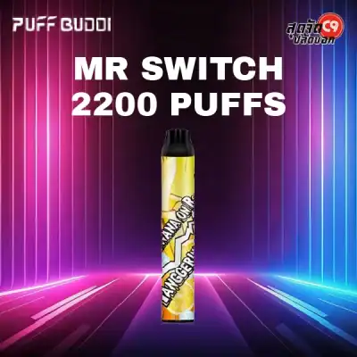 Puff Buddi Mr Switch 2200 puff