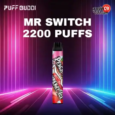 Puff Buddi Mr Switch 2200 puff