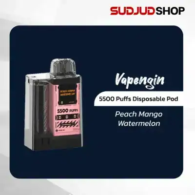 Vapengin 5500 Puffs