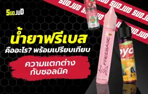 มือใหม่หัดสูบต้องรู้! น้ำยาฟรีเบสคืออะไร? เทียบชัดกับซอลนิค เข้าใจจบในภาพเดียว